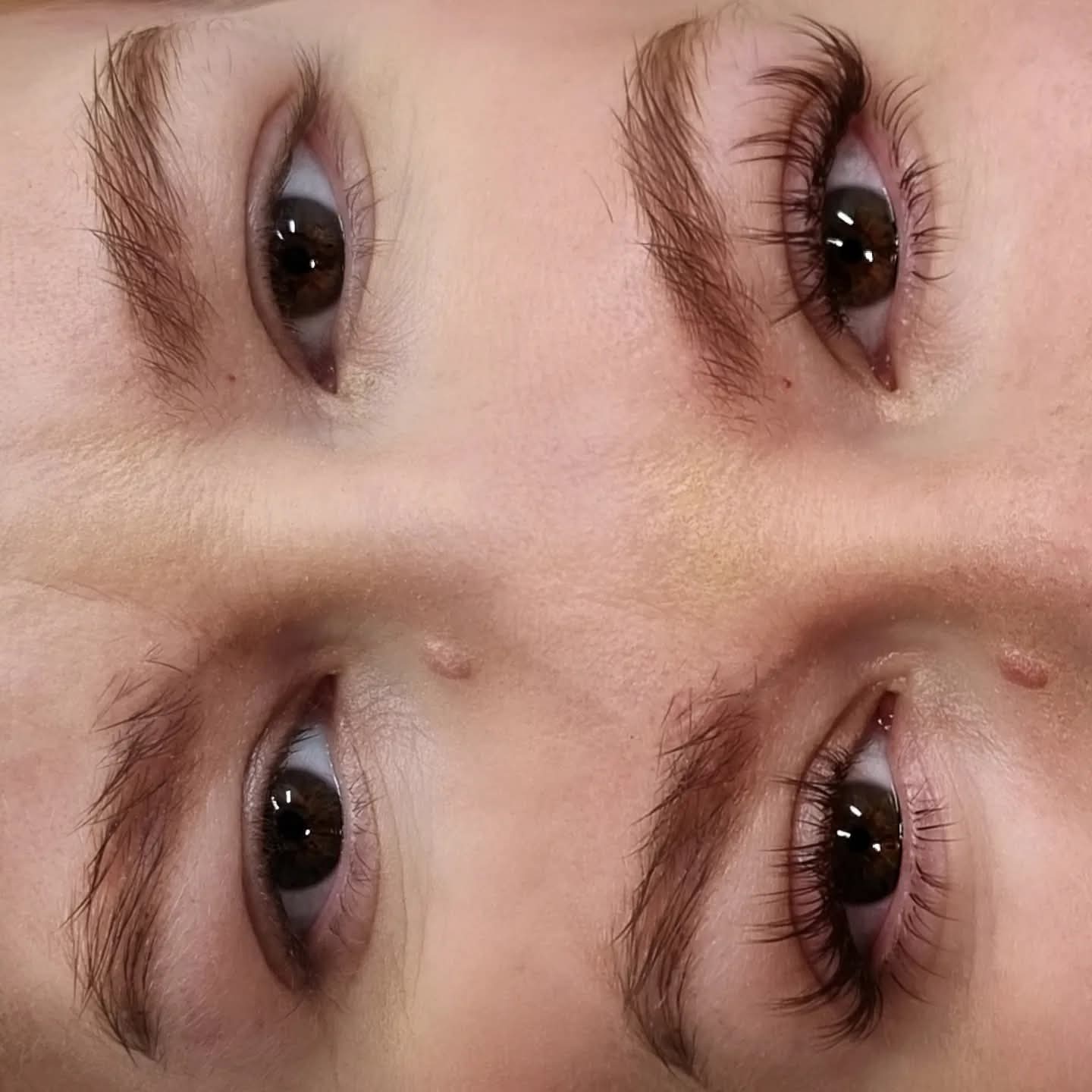 Manga Lashes