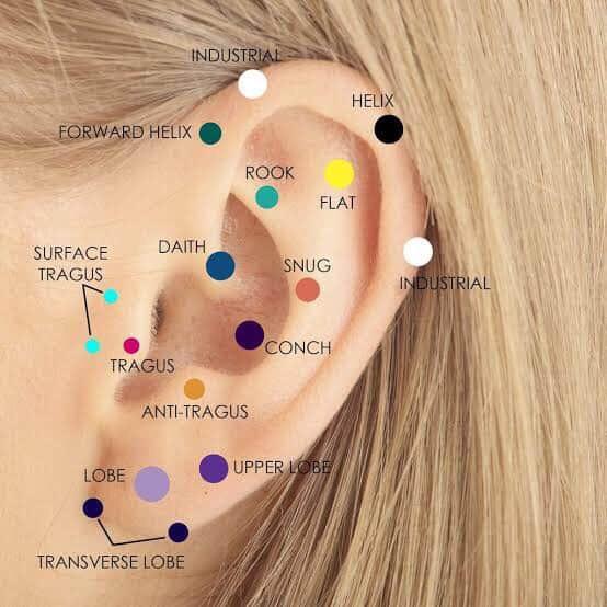 Tragus